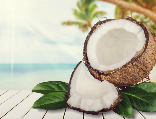Considering Coconut Farmland to Grow Your Wealth