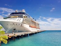 Luxury Cruise Ship in Port