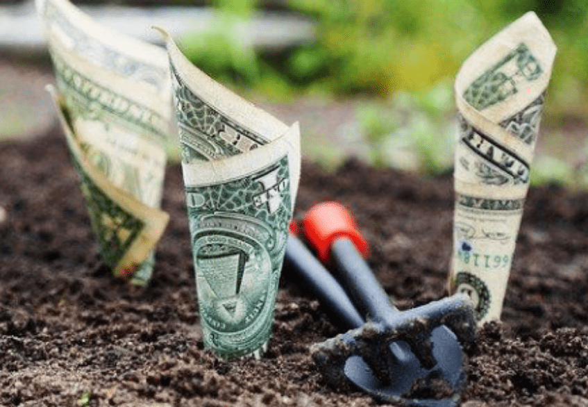 growing-pandemic-proof-profits-for-the-long-term-615x300 (1)